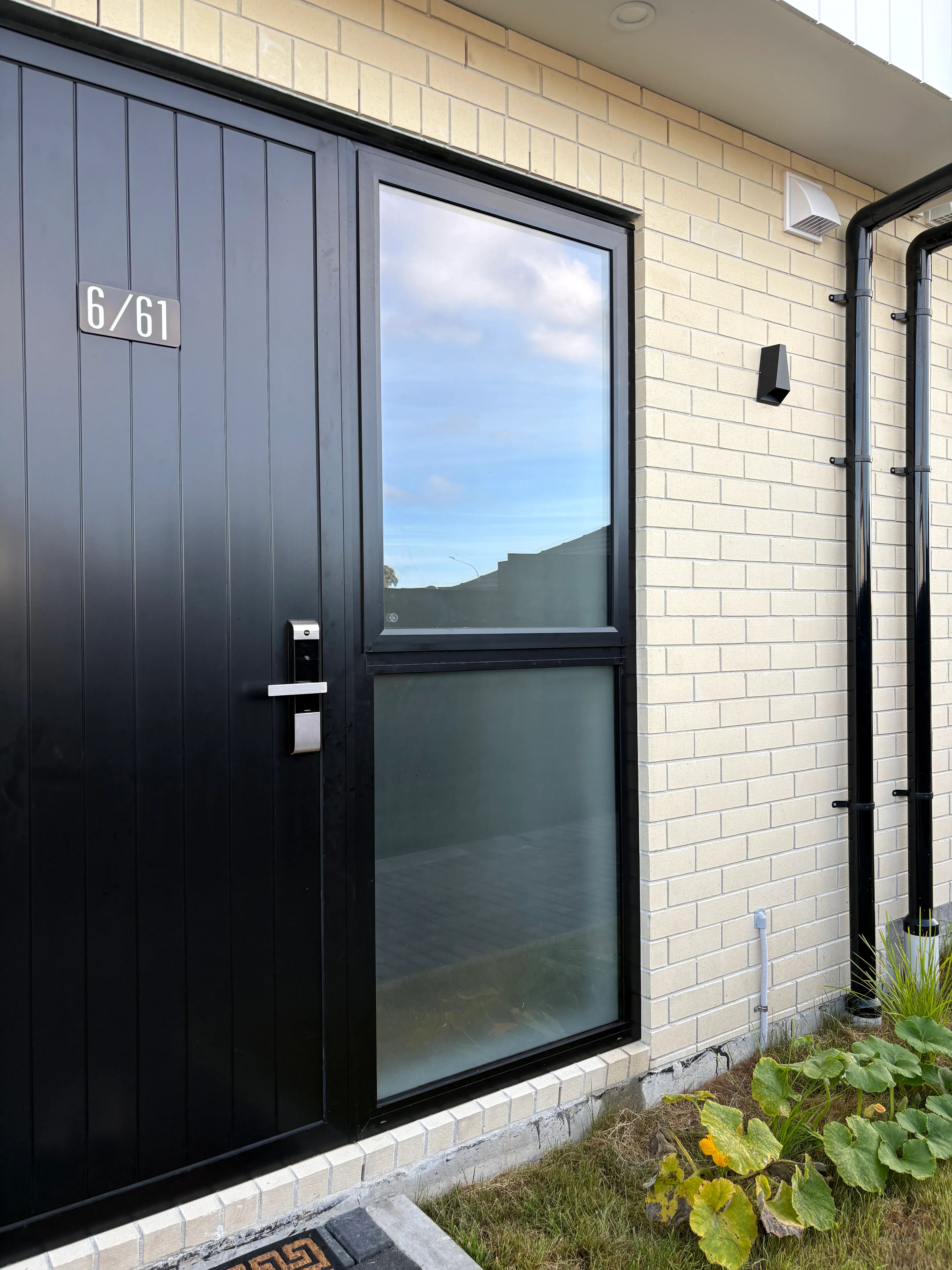 Window tinting services near St Marys Bay Auckland