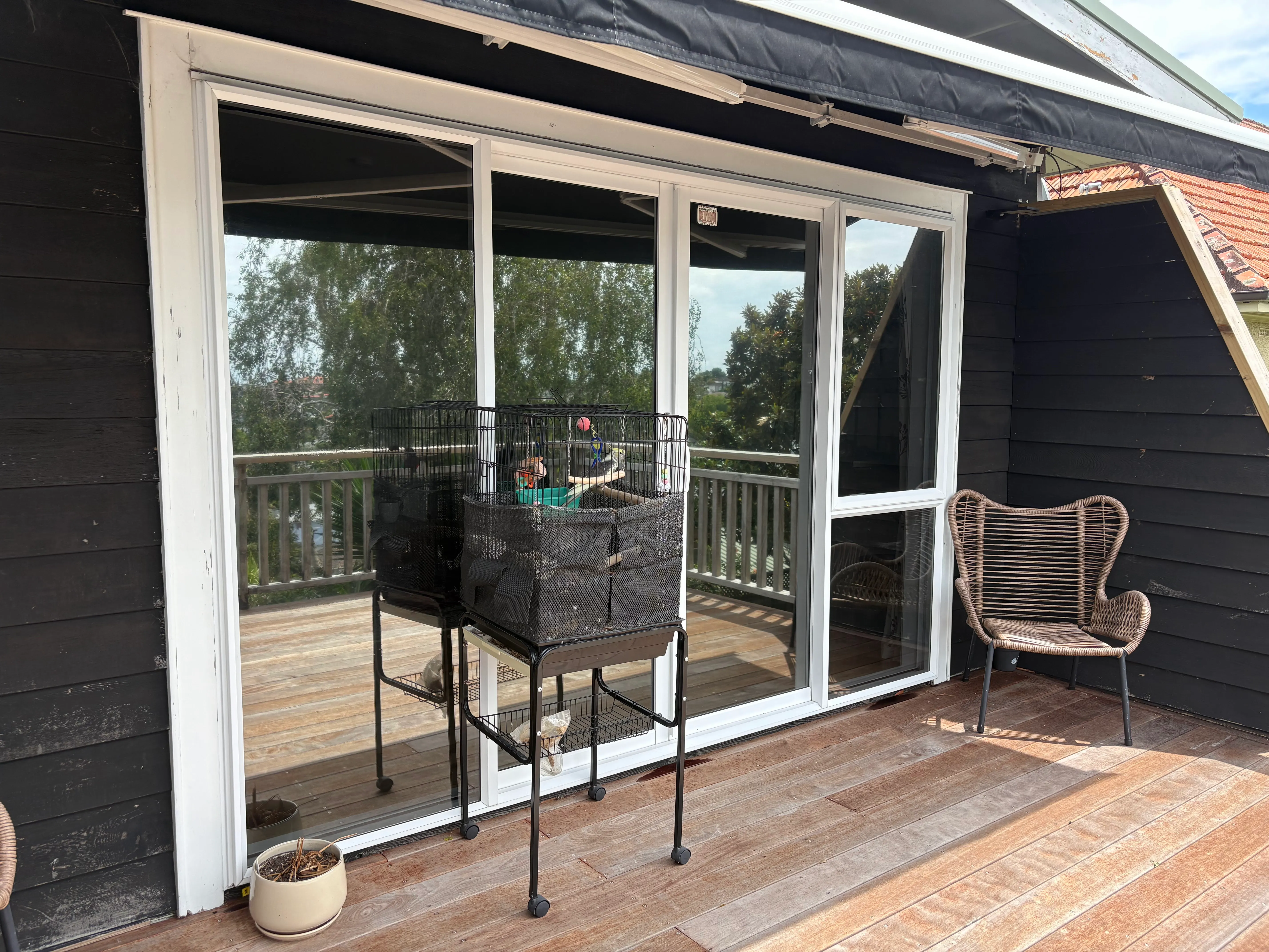 Advanced Window Tinting Solutions for Residential and Commercial Buildings in Massey Auckland