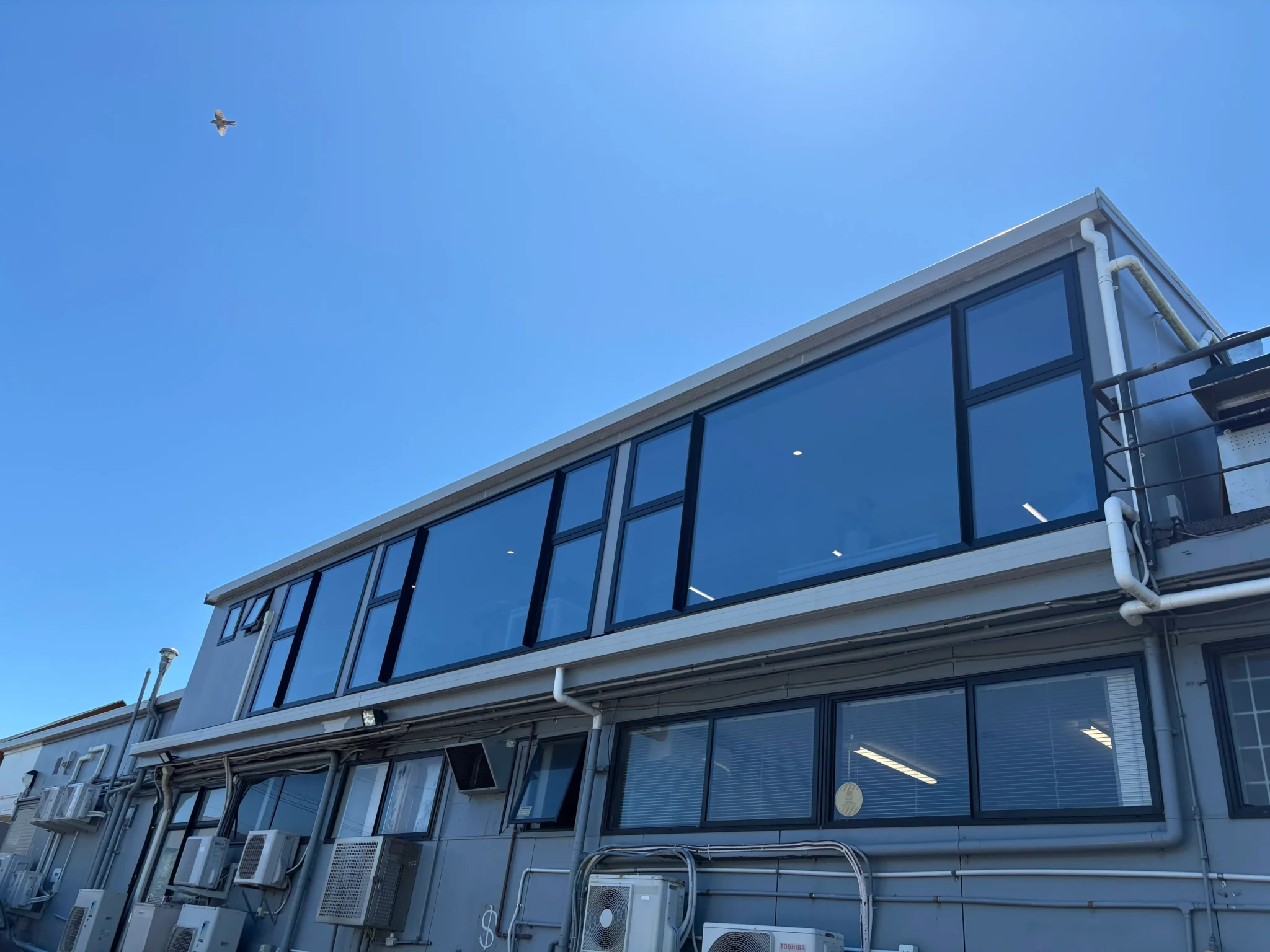 commercial window tinting Kohimarama office glass