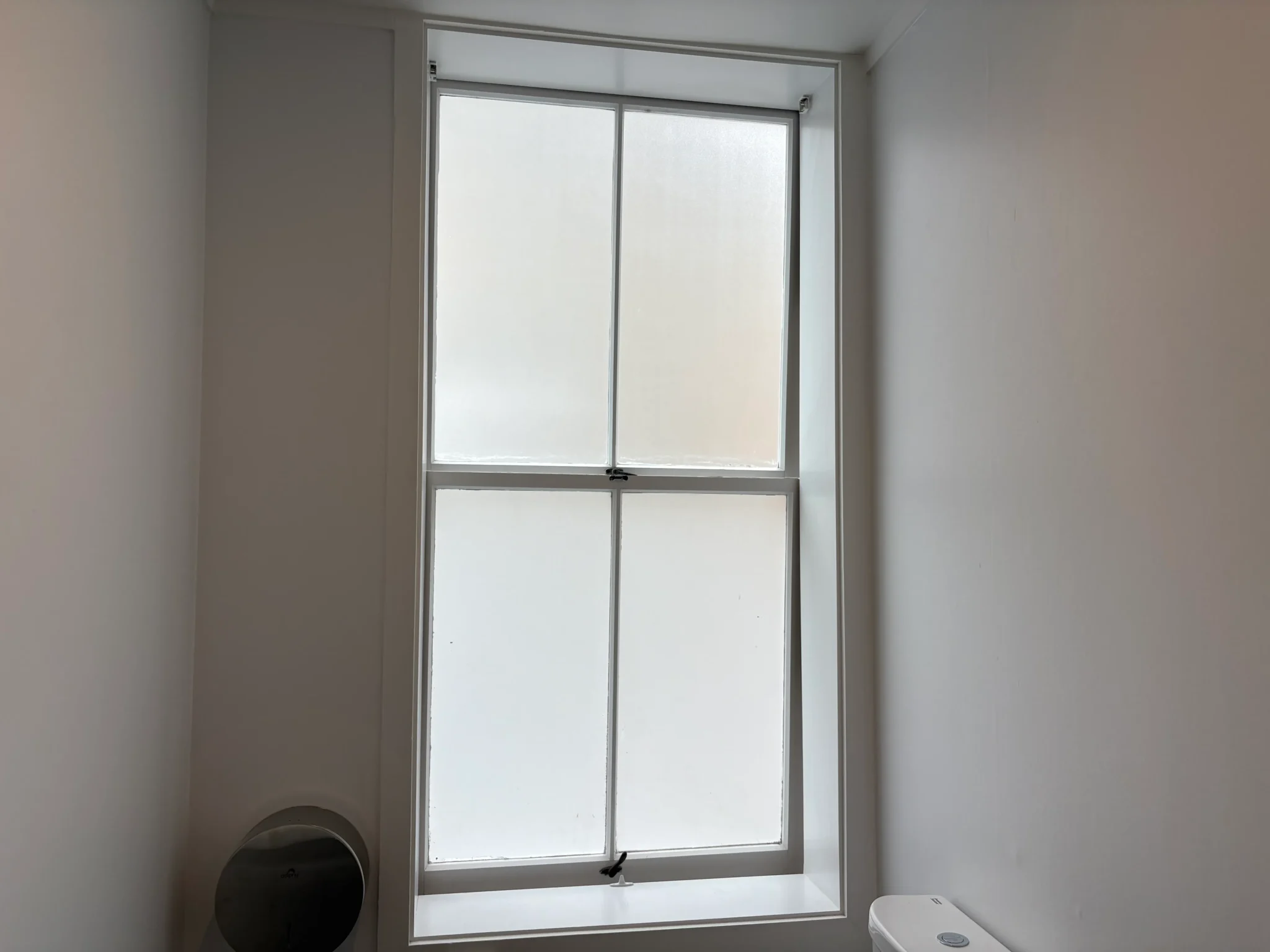 tint film removal West Harbour Auckland